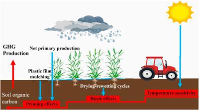 Editorial: Climate change and/or pollution on the carbon cycle in terrestrial ecosystems